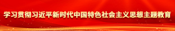 鸡鸡插小洞网站学习贯彻习近平新时代中国特色社会主义思想主题教育